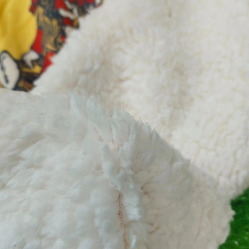 Vintage Cashmere Blanket
