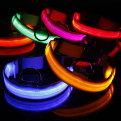 🐕 Light-Up LED Dog Collar – Adjustable, Waterproof, Safe for Night Walks