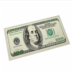 Dollar Print Throw Blanket