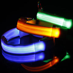 🐕 Light-Up LED Dog Collar – Adjustable, Waterproof, Safe for Night Walks