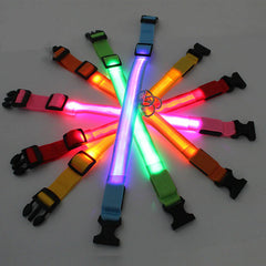 🐕 Light-Up LED Dog Collar – Adjustable, Waterproof, Safe for Night Walks
