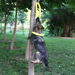 🐶 EVA Dog Pull Ring – Durable, Safe & Build for Active Play