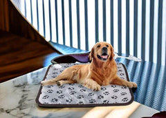 Pet Heated Blanket