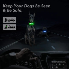 🐕 Light-Up LED Dog Collar – Adjustable, Waterproof, Safe for Night Walks