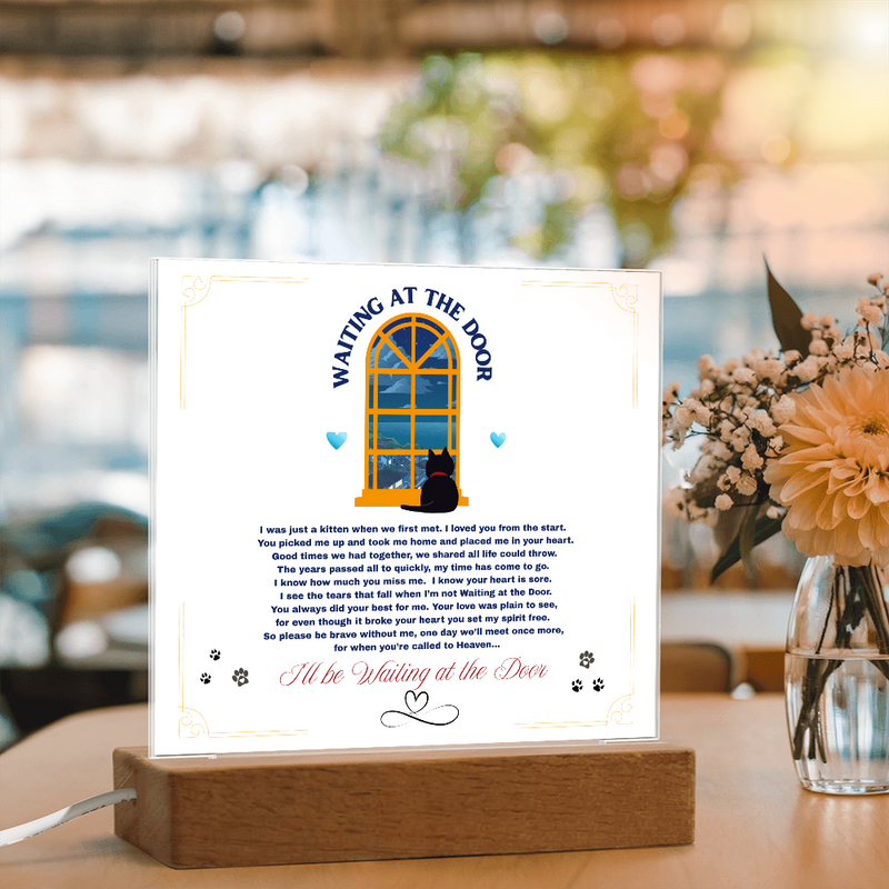 Memorial for Your Beloved Kitty - Waiting At The Door