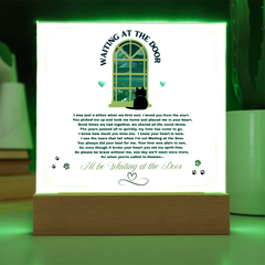 Memorial for Your Beloved Kitty - Waiting At The Door