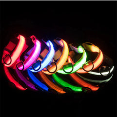 🐕 Light-Up LED Dog Collar – Adjustable, Waterproof, Safe for Night Walks