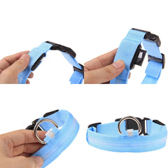 🐕 Light-Up LED Dog Collar – Adjustable, Waterproof, Safe for Night Walks
